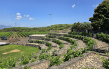 DISCOVER MESSINA SICILY3