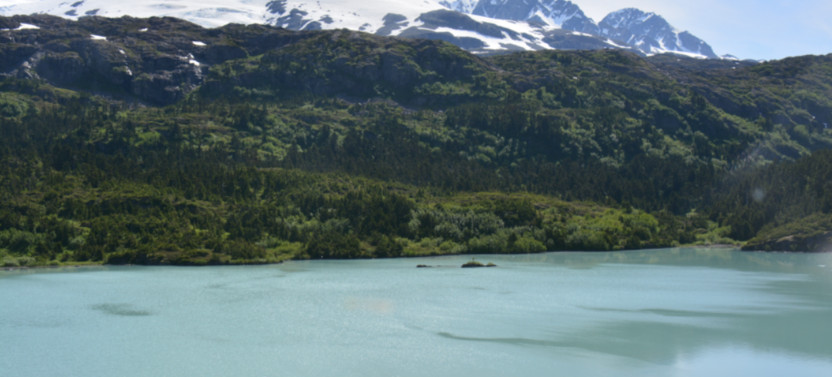 Prince William Sound Explorer Tour