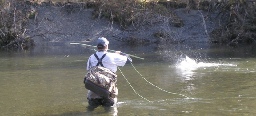 Anchorage Fly-Out Day Fishing Trip to Remote Lake Creek Lodge