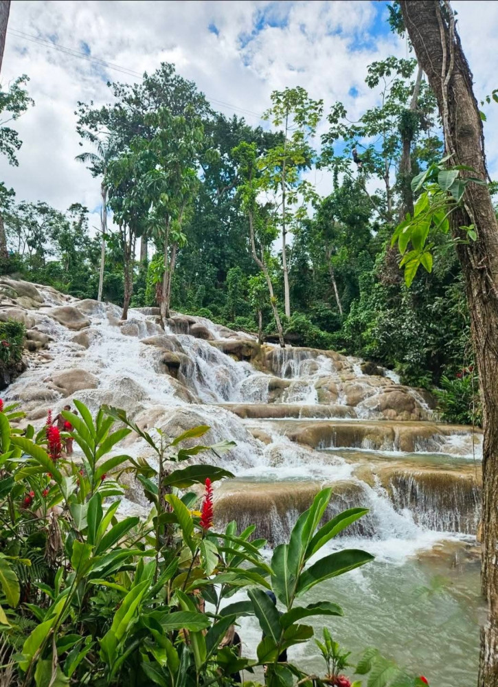 Ocho Rios Dunn's River Falls Tour from Montego Bay and Falmouth