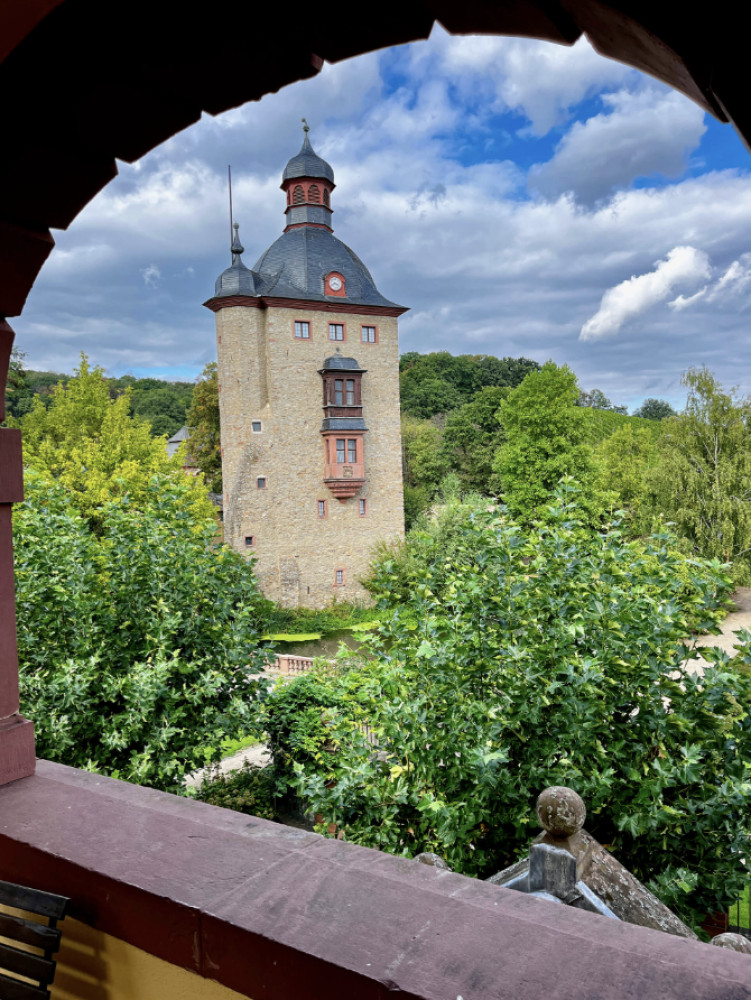 Wine Tour in Rheingau: Wine, History & Scenic Views