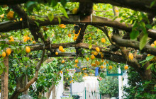 IAMME IA! - Gray Line Amalfi Coast302