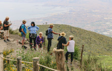 IAMME IA! - Gray Line Amalfi Coast310