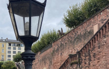 Key to the Sea Parasailing and Boat Charters12