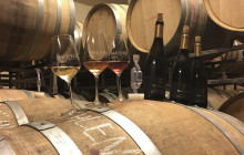 Key to the Sea Parasailing and Boat Charters17