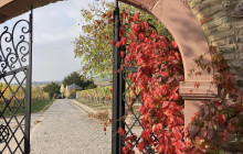 Key to the Sea Parasailing and Boat Charters19