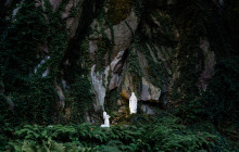 Gray Line Los Cabos2