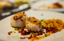 Gray Line Los Cabos3