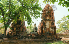 Discova Day Tours and Activities11