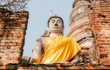 Discova Day Tours and Activities18