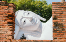 Discova Day Tours and Activities1