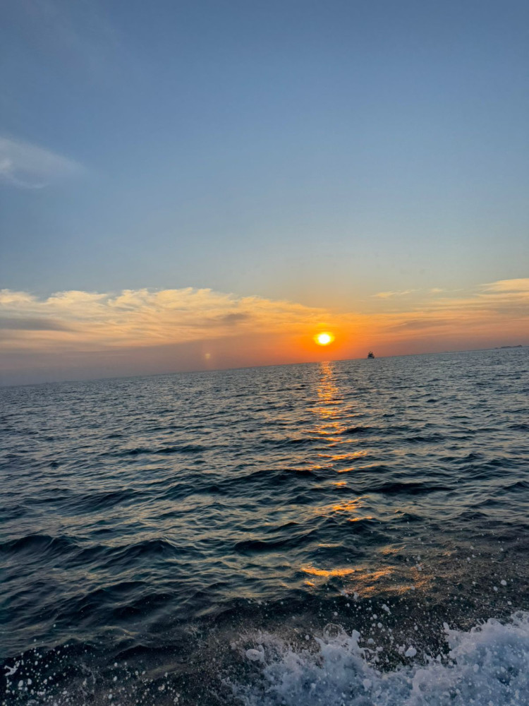 Nobles Marine Tours