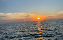 Nobles Marine Tours4