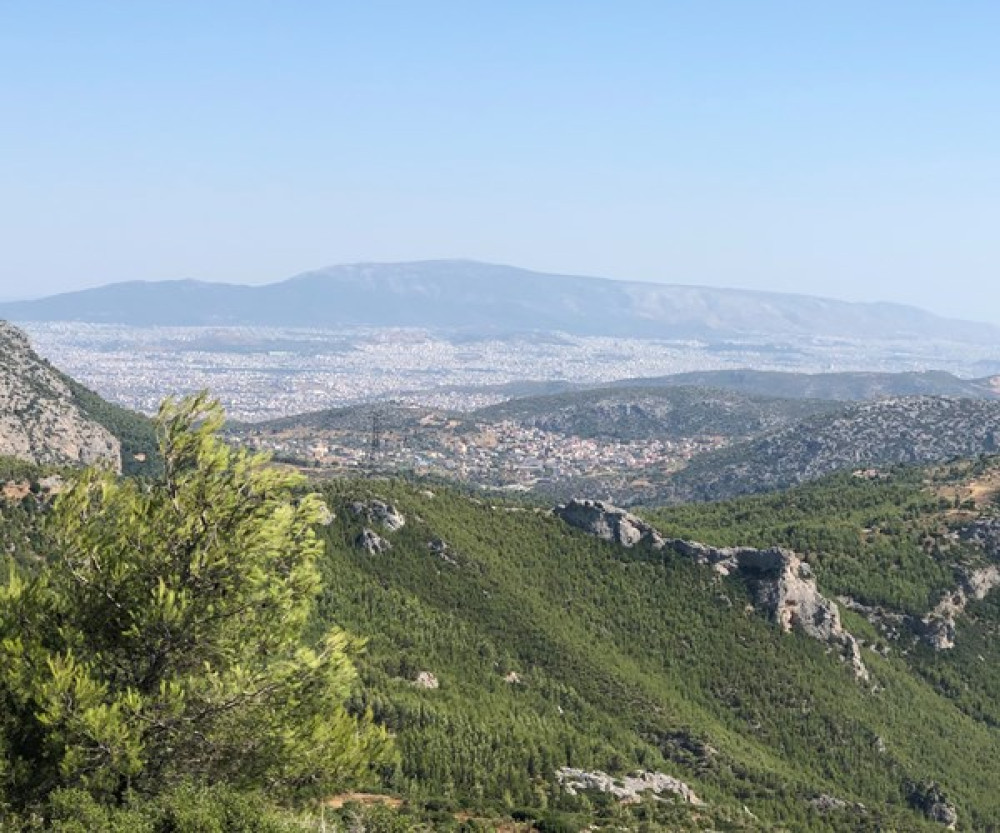 Chania Shore Excursion to the White Mountains