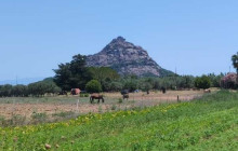 Genna Tours7
