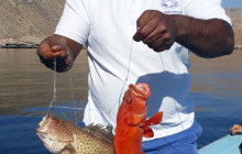 Musandam Sea Adventure Travel & Tourism2