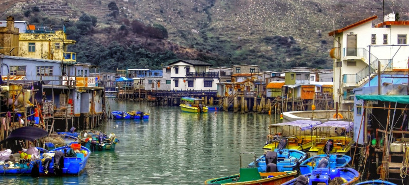 Private Tour Explore Tai O Fishing Village From Kai Tak Cruise Port
