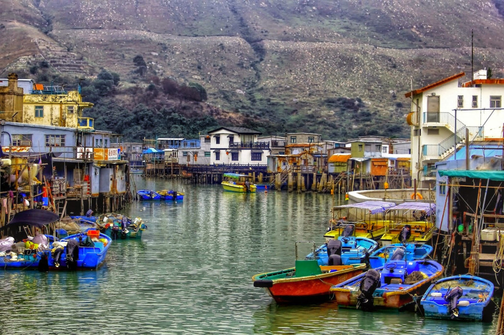 Private Tour Explore Tai O Fishing Village From Kai Tak Cruise Port