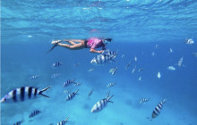 CULTURE VILLAGE (FIJI)PTE LTD3