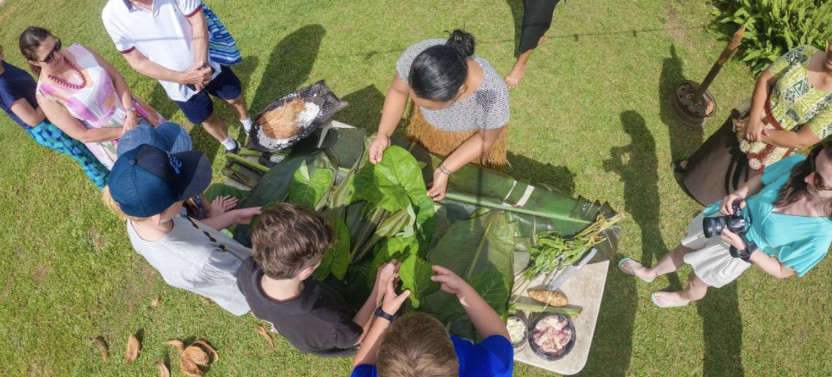 Full-Day Tongan Cultural Immersion with Traditional Lunch