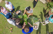 CULTURE VILLAGE (FIJI)PTE LTD3