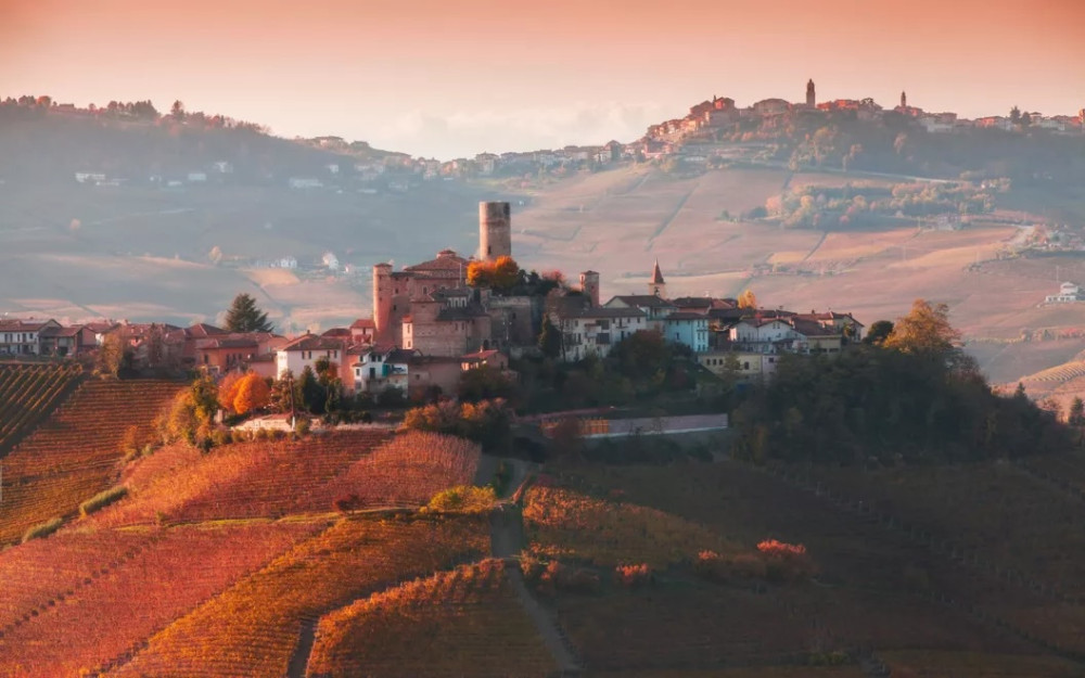 Exclusive 3-Day Barolo Wine Experience from Florence