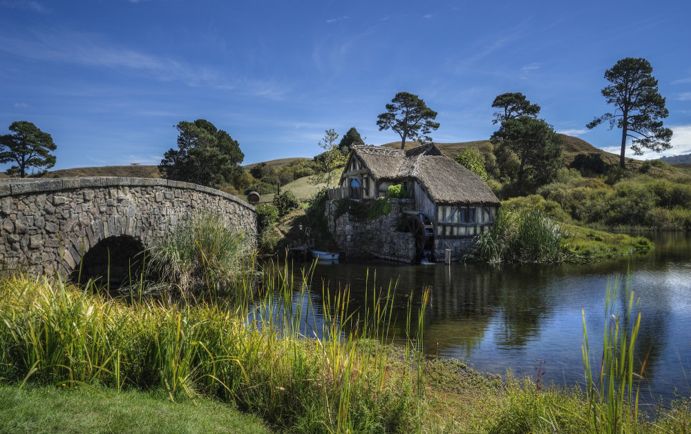 Hobbiton Day Tour from Tauranga Shore Excursion