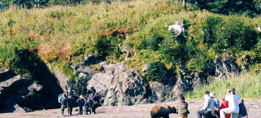 Alaska Bear Viewing Tour: Lake Clark National Park