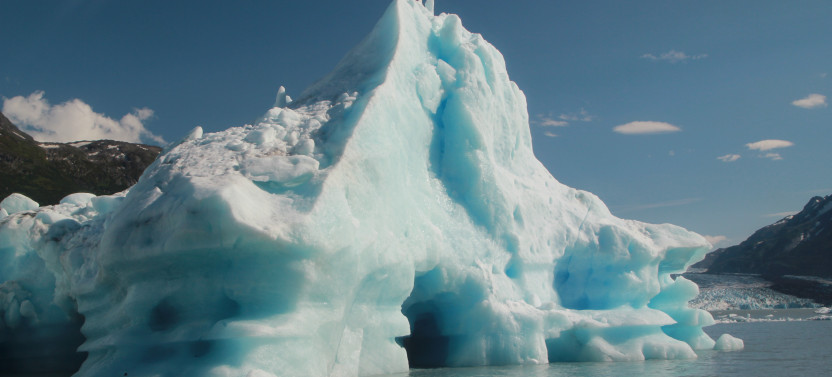 Prince William Sound Explorer Tour