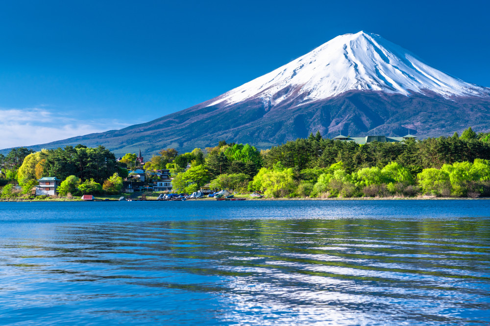 Mt. Fuji area and Kawaguchiko Tour with Halal Meal