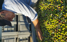 EUDAIMONIA TOURS & EXPERIENCES PRIVATE COMPANY18