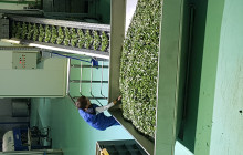 EUDAIMONIA TOURS & EXPERIENCES PRIVATE COMPANY19