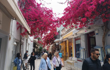 EUDAIMONIA TOURS & EXPERIENCES PRIVATE COMPANY20