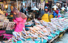 Friendly Travel Nha Trang1