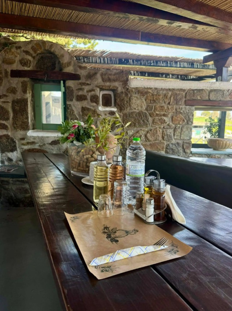Mykonos Excursions