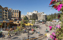 COUNTRYSIDE TOURS PR LLC4