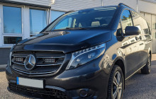 Ó Turista! Tours and Trips6