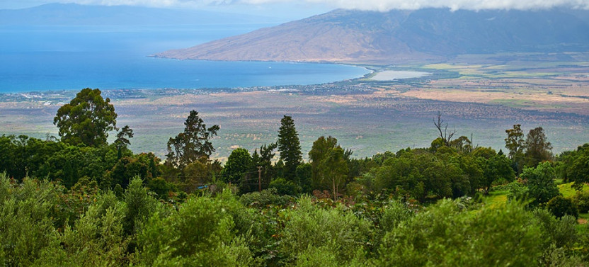 Maui Seasonal Landscapes & Highlights Tour
