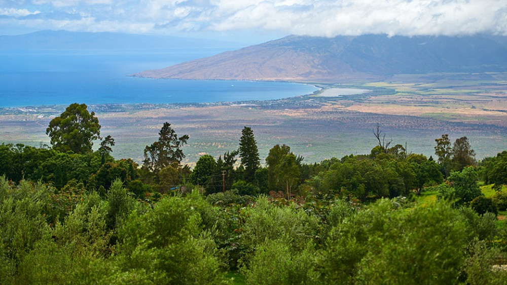 Maui Seasonal Landscapes & Highlights Tour