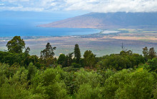Hana Tours of Maui1