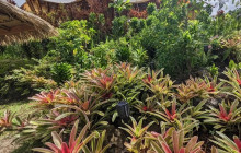 Hana Tours of Maui13