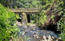 Hana Tours of Maui15