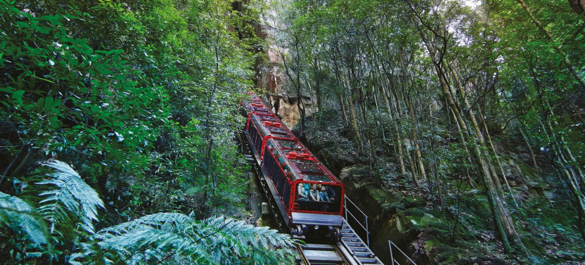 Blue Mountains Zig Zag Tour: Scenic World, Three Sisters & Cruise