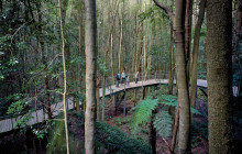 Wine Hop And Coastal Tours Pty Ltd5