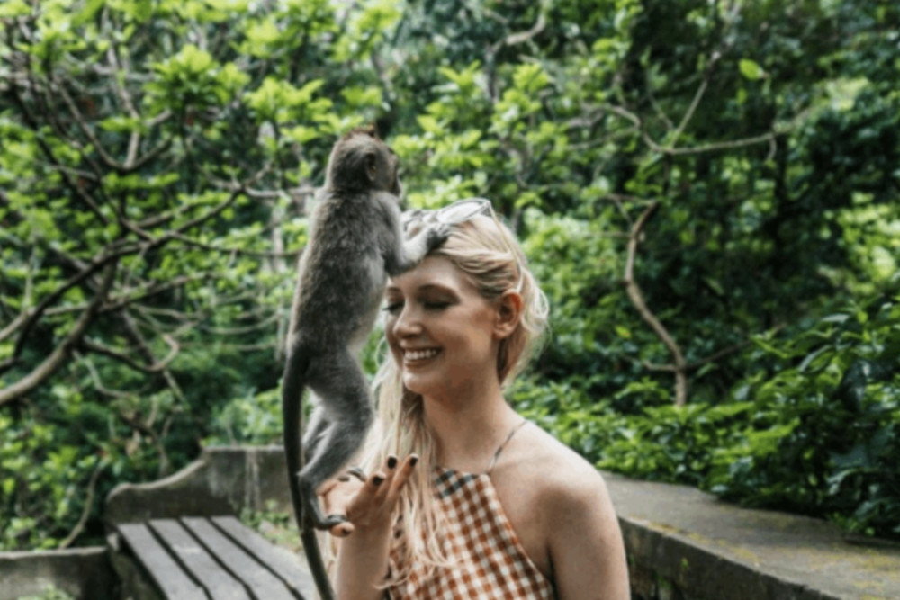 Ubud Full-Day Monkey Forest, Jungle Swing, Rice Terrace & Water Temple