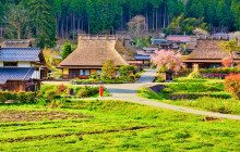 Tuyi Group Japan Co., Ltd.2