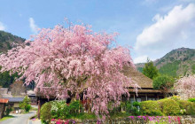 Tuyi Group Japan Co., Ltd.3