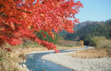 Tuyi Group Japan Co., Ltd.4