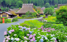 Tuyi Group Japan Co., Ltd.5