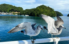 Tuyi Group Japan Co., Ltd.12